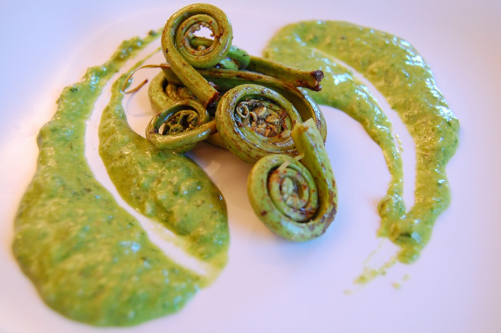 fiddleheads